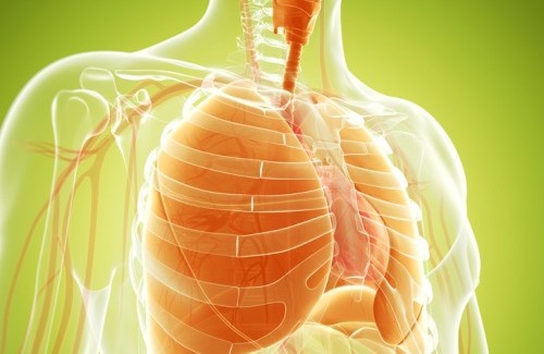 Broncopneumologia roma